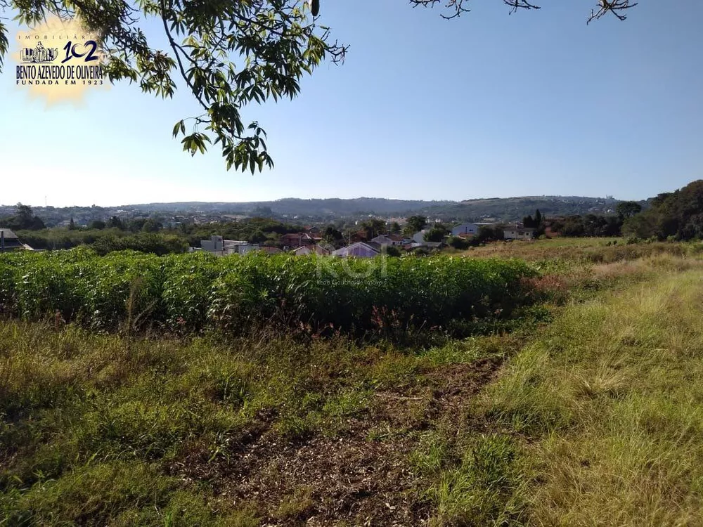 Terreno, 4 hectares - Foto 6