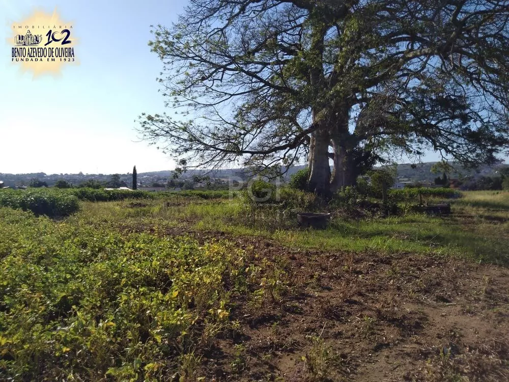 Terreno, 4 hectares - Foto 8