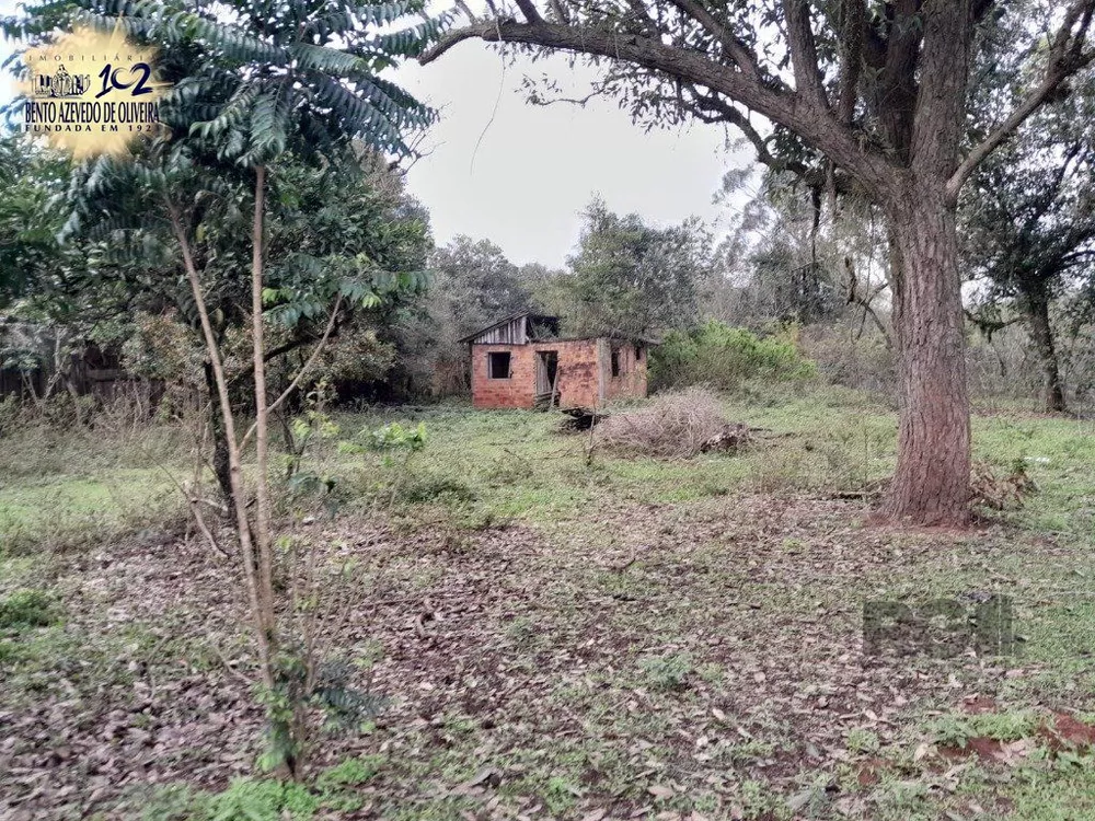 Terreno, 6000 m² - Foto 3