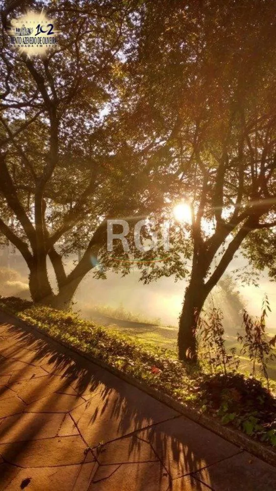 Terreno, 3 hectares - Foto 4