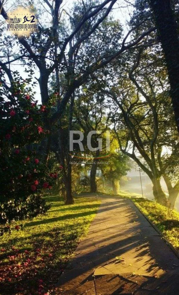 Terreno, 3 hectares - Foto 5