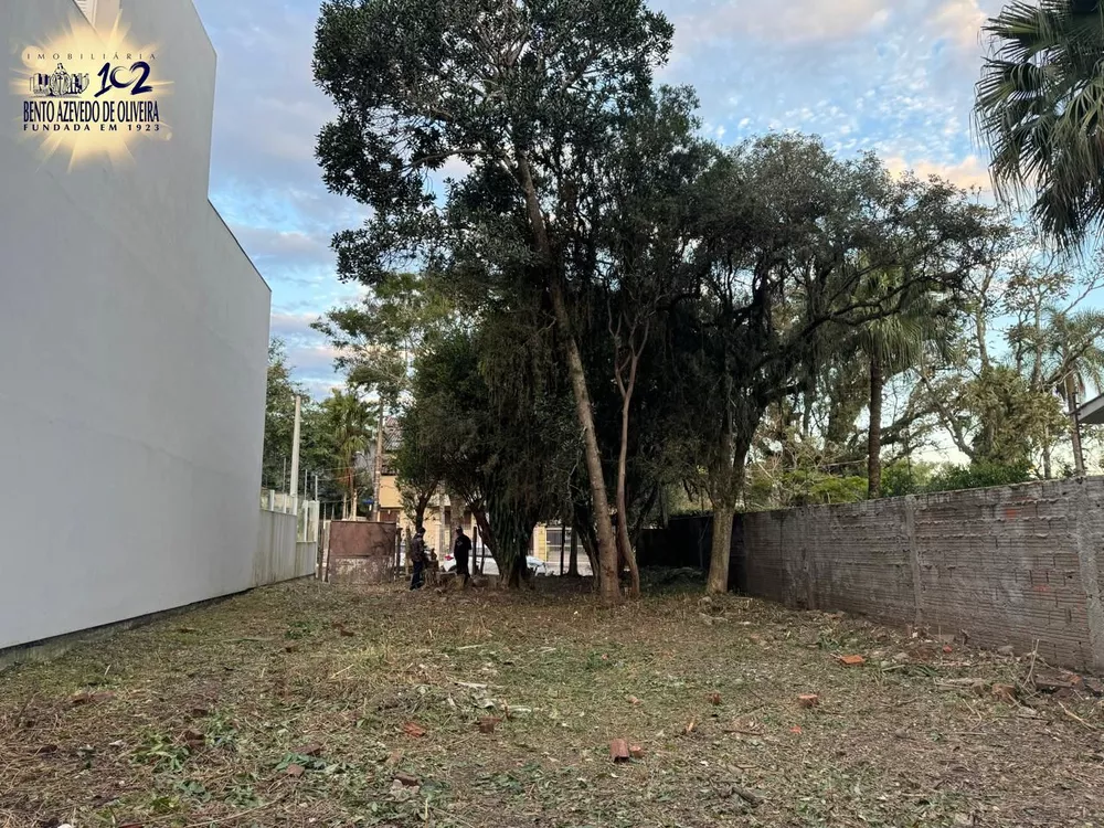 Terreno, 460 m² - Foto 4