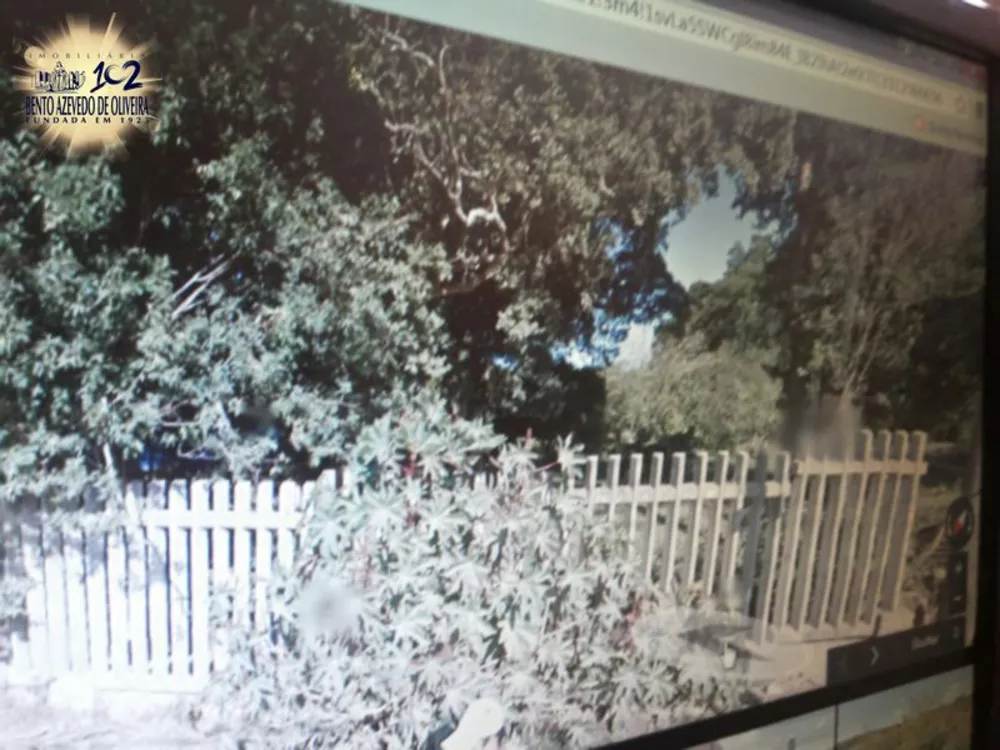 Terreno, 3 hectares - Foto 5