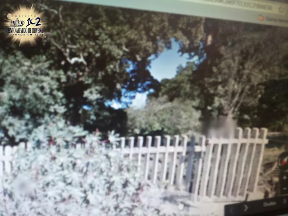 Terreno, 3 hectares - Foto 4