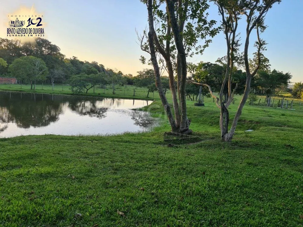 Chácara, 3 quartos, 6 hectares - Foto 6