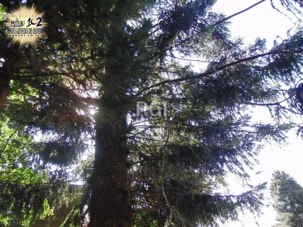 Terreno, 3500 m² - Foto 1