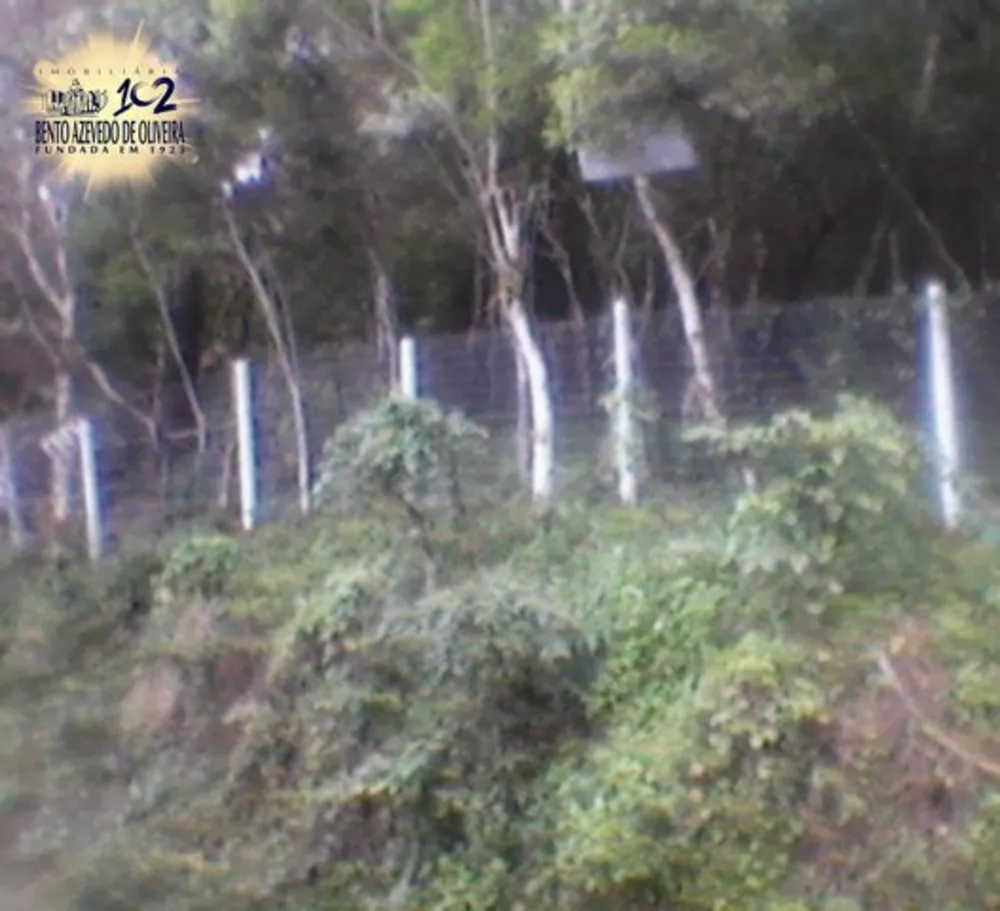 Terreno, 5100 m² - Foto 5