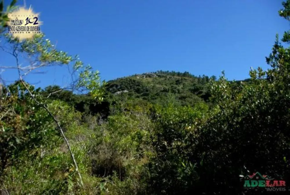 Sítio, 1 quarto, 26 hectares - Foto 1