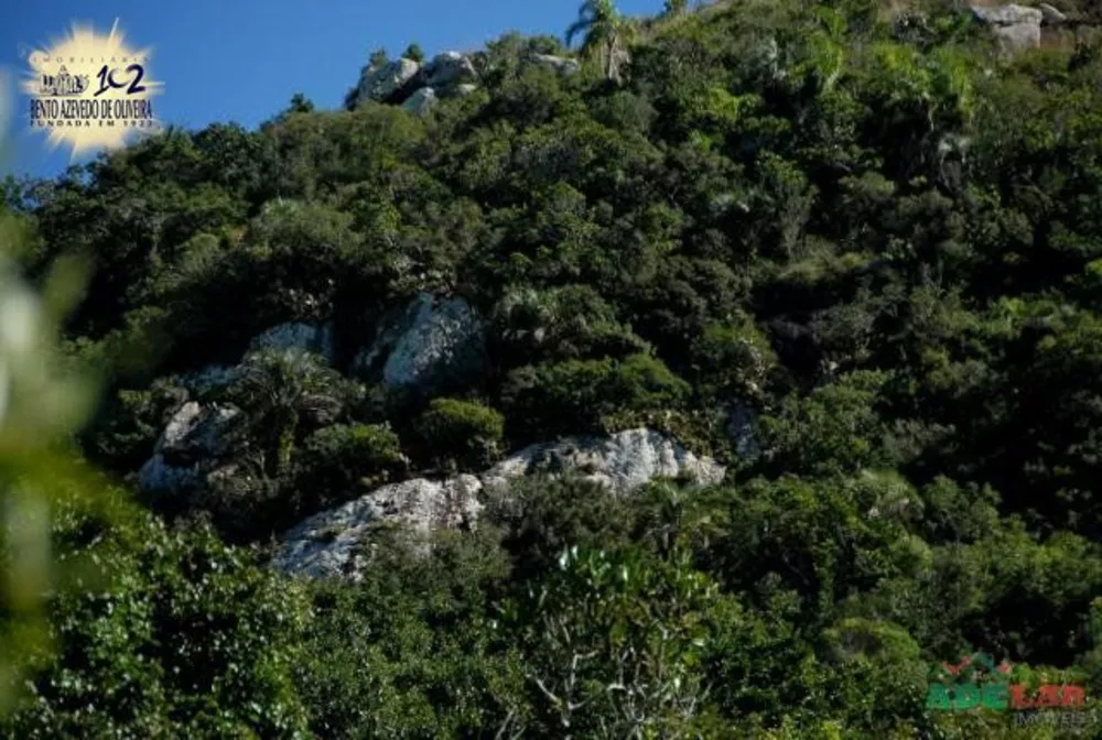 Sítio, 1 quarto, 26 hectares - Foto 4