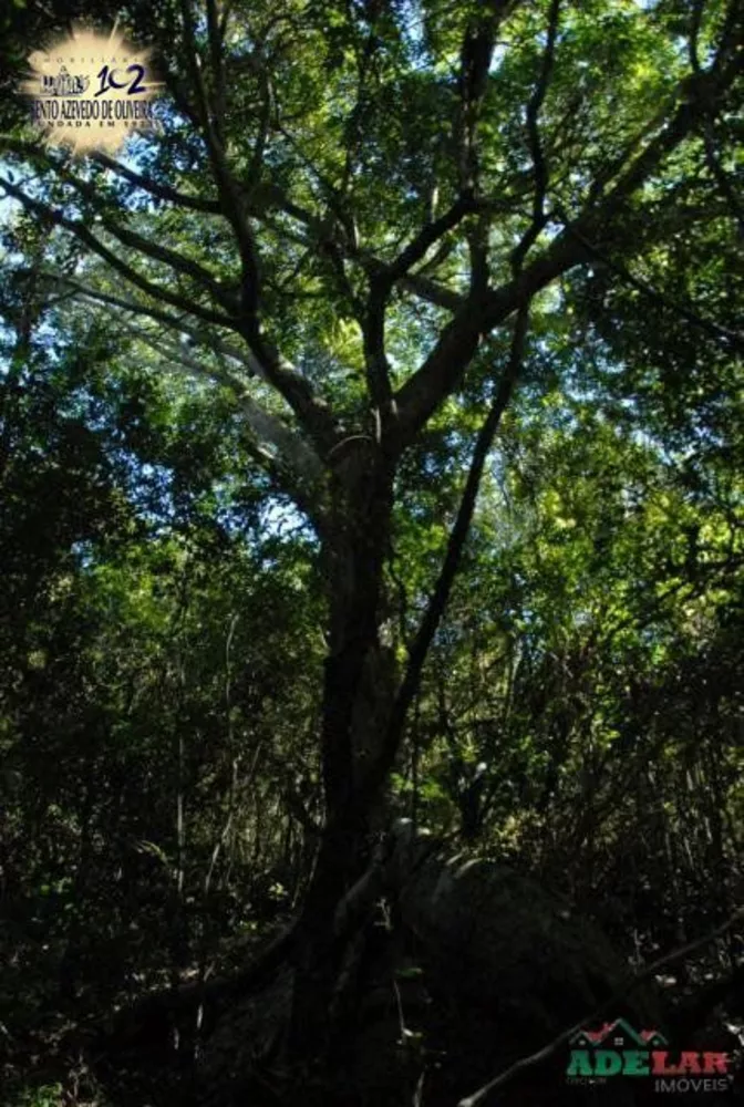 Sítio, 1 quarto, 26 hectares - Foto 3