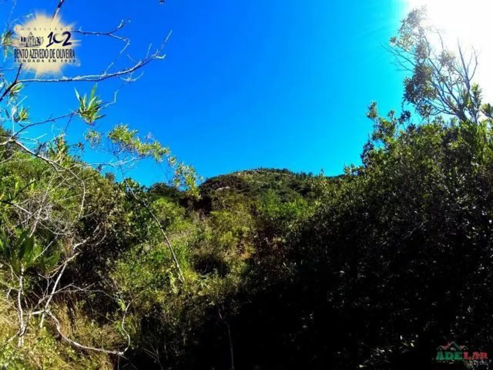 Sítio, 1 quarto, 26 hectares - Foto 8