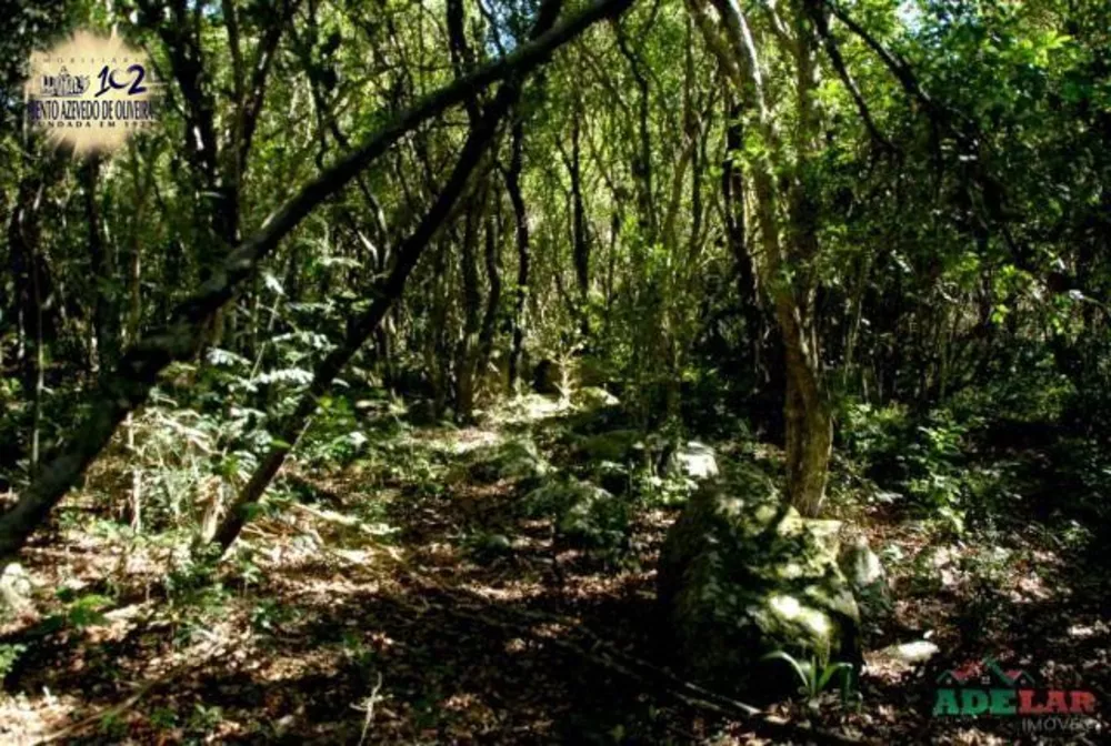 Sítio, 1 quarto, 26 hectares - Foto 6