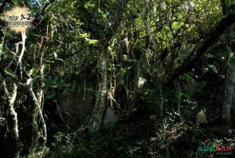 Sítio, 1 quarto, 26 hectares - Foto 7