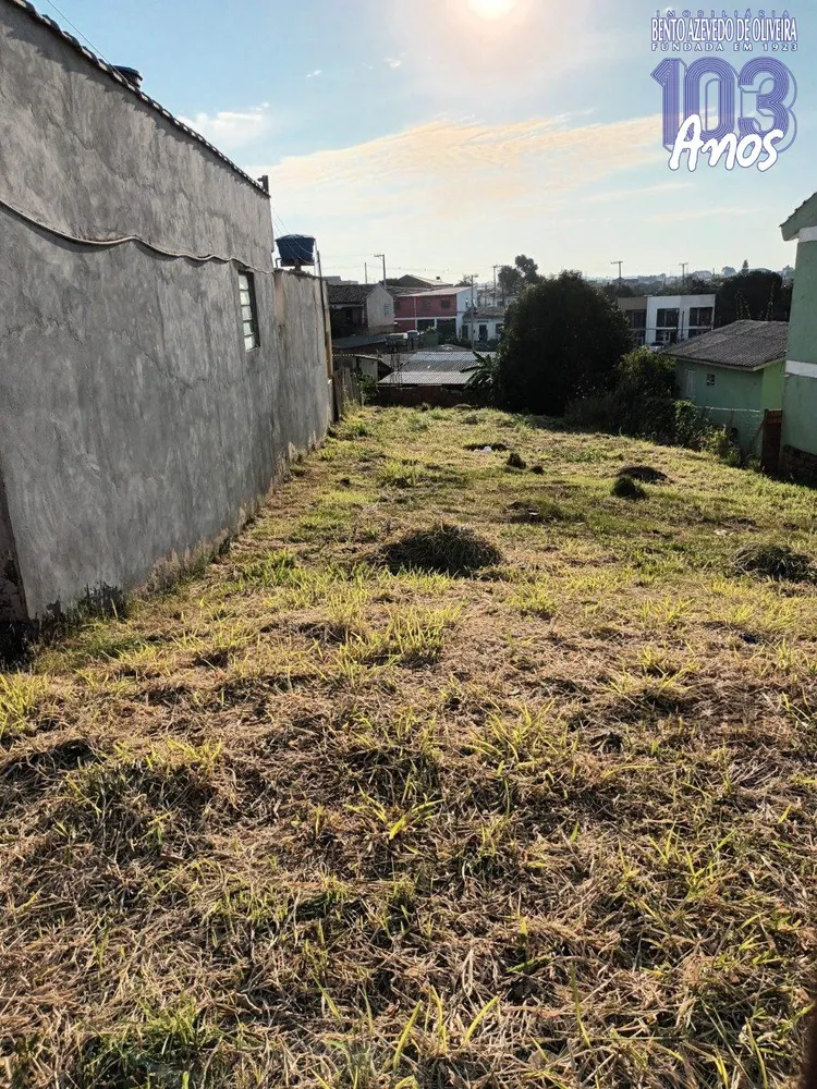Cobertura, 3 quartos, 261 m² - Foto 3