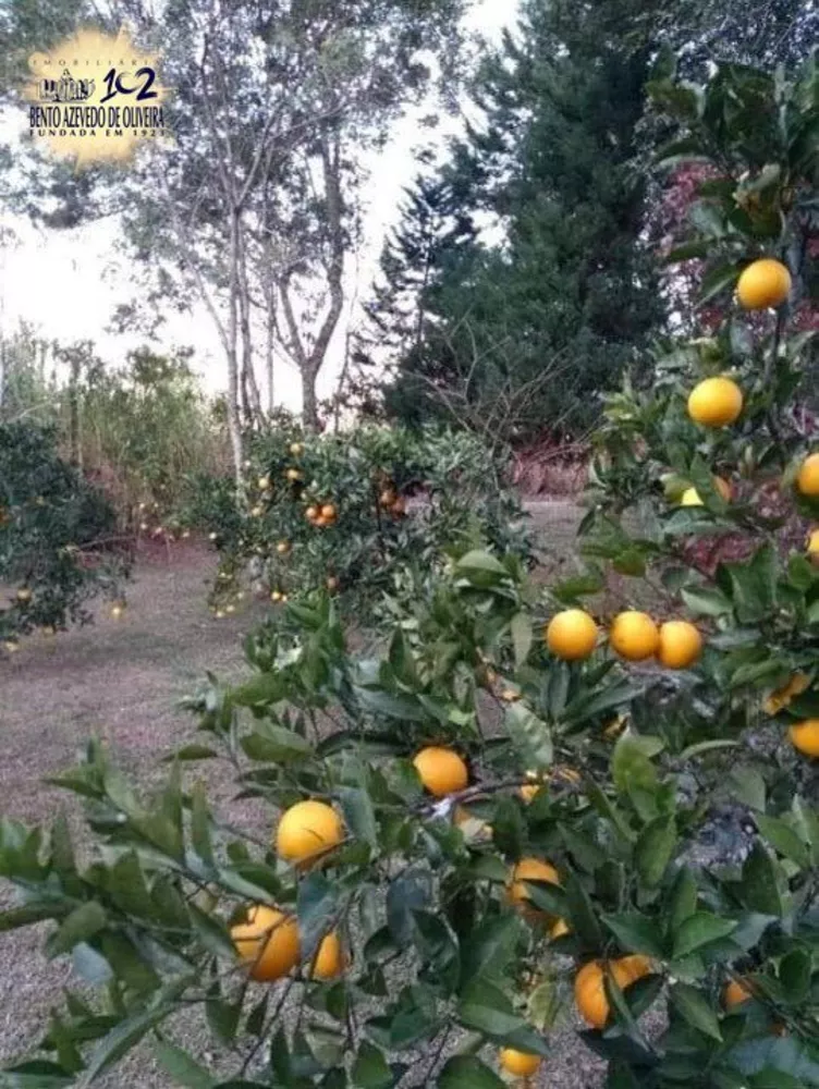 Chácara, 2 quartos, 3000 m² - Foto 1