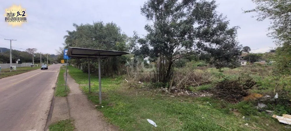 Terreno, 3037 m² - Foto 5
