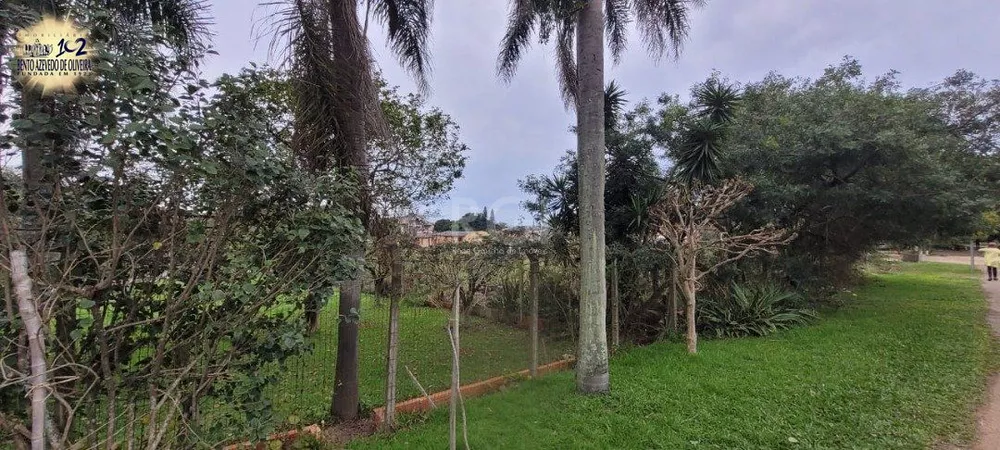 Terreno, 3037 m² - Foto 8