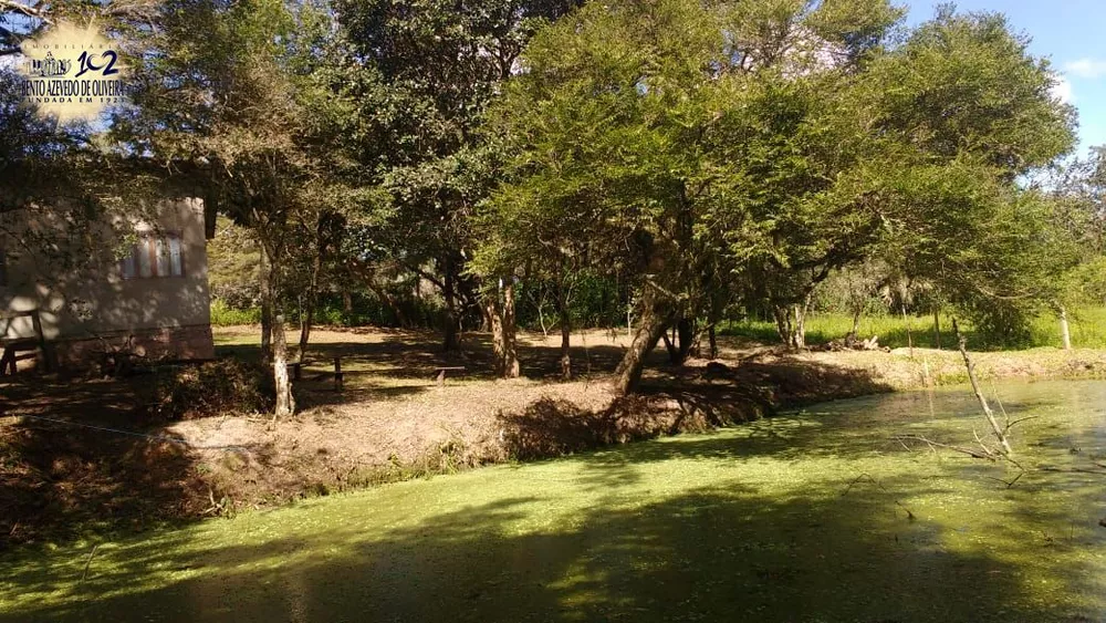 Sítio, 1 quarto, 3 hectares - Foto 7