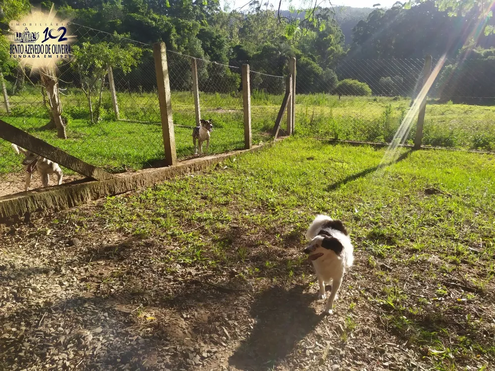 Sítio, 1 quarto, 3 hectares - Foto 4