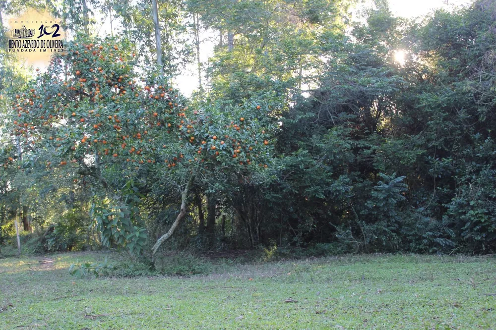 Sítio, 1 quarto, 3 hectares - Foto 3
