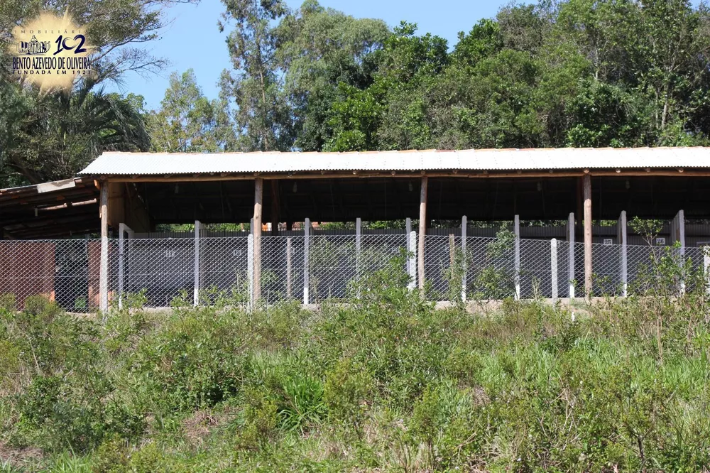Sítio, 1 quarto, 3 hectares - Foto 1