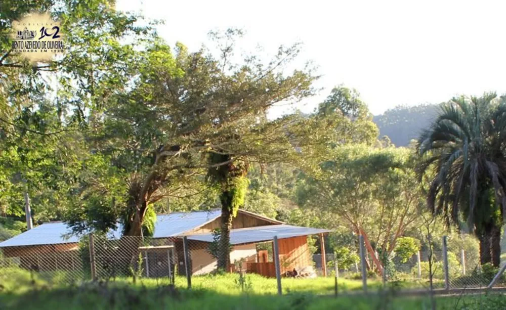 Sítio, 1 quarto, 3 hectares - Foto 6