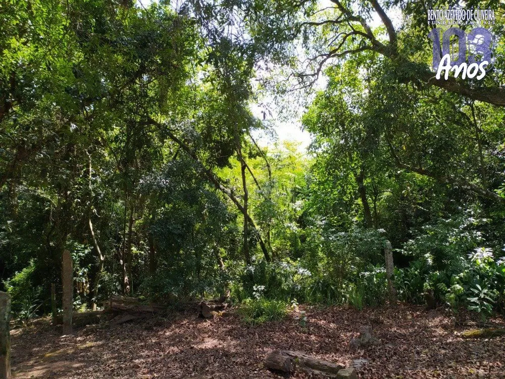 Terreno, 600 m² - Foto 7