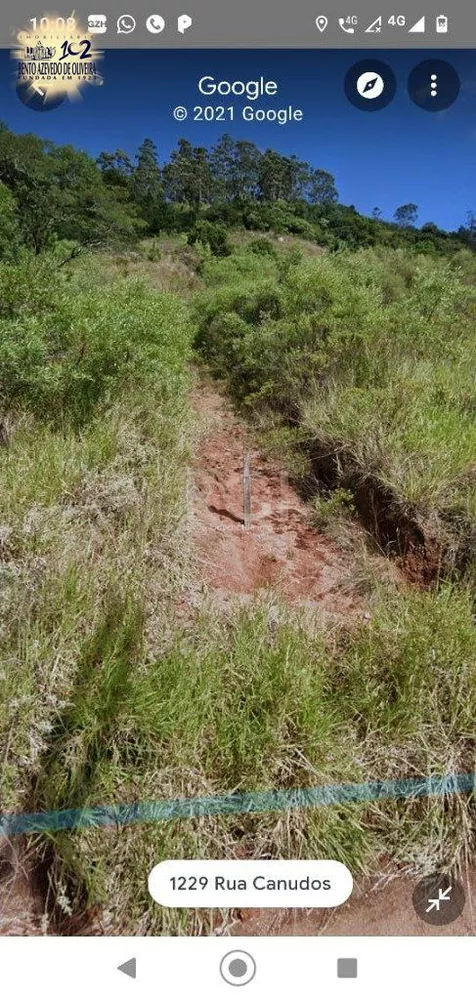 Terreno, 6 hectares - Foto 3