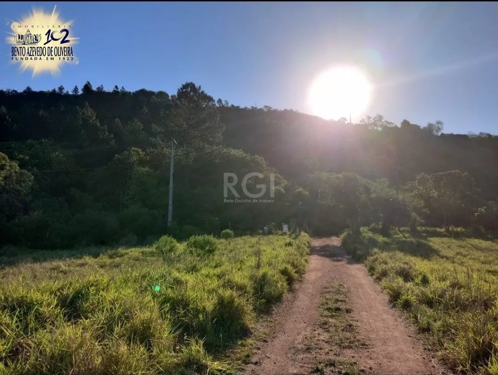 Terreno, 6 hectares - Foto 6