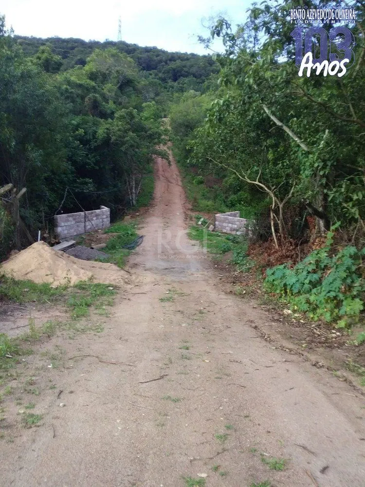 Terreno, 4 hectares - Foto 2