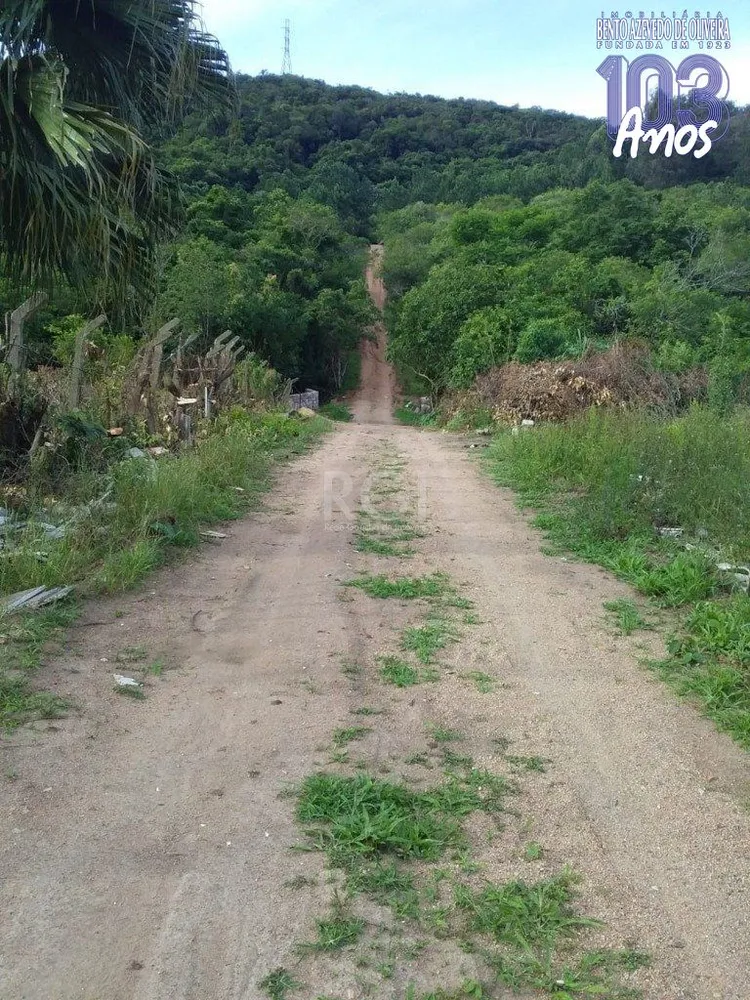 Terreno, 4 hectares - Foto 6