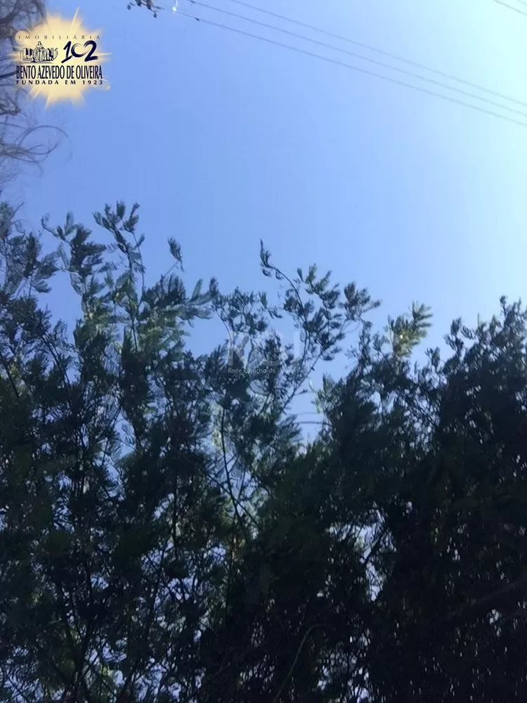 Terreno, 6436 m² - Foto 4