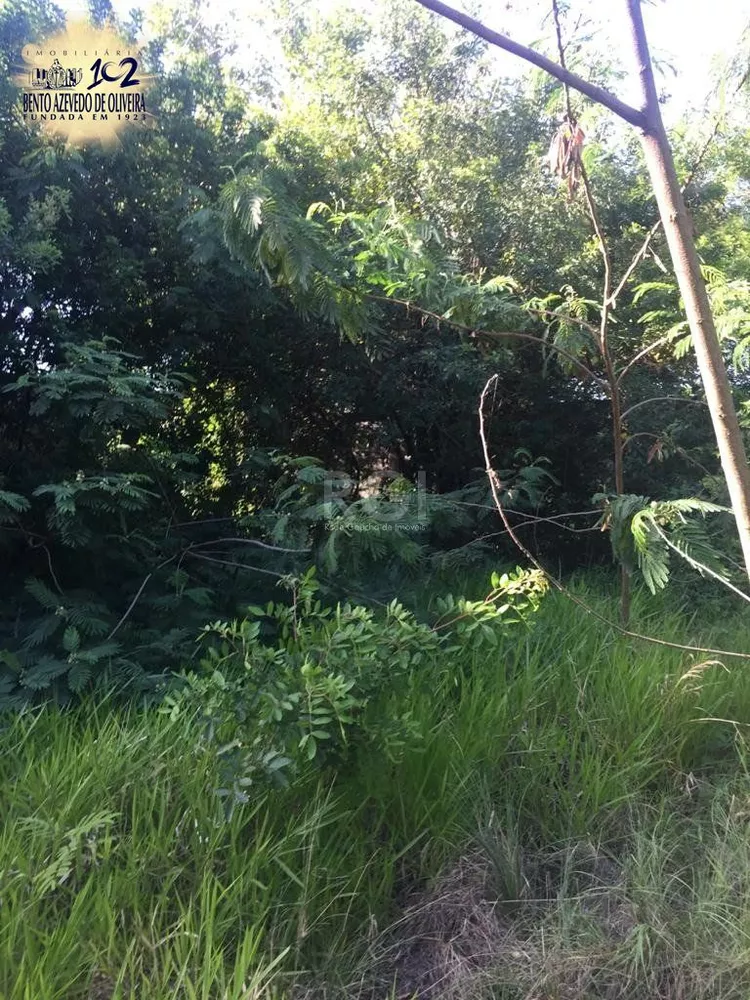 Terreno, 6436 m² - Foto 6