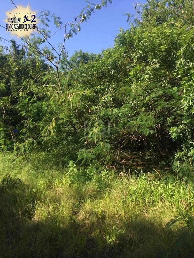 Terreno, 6436 m² - Foto 5