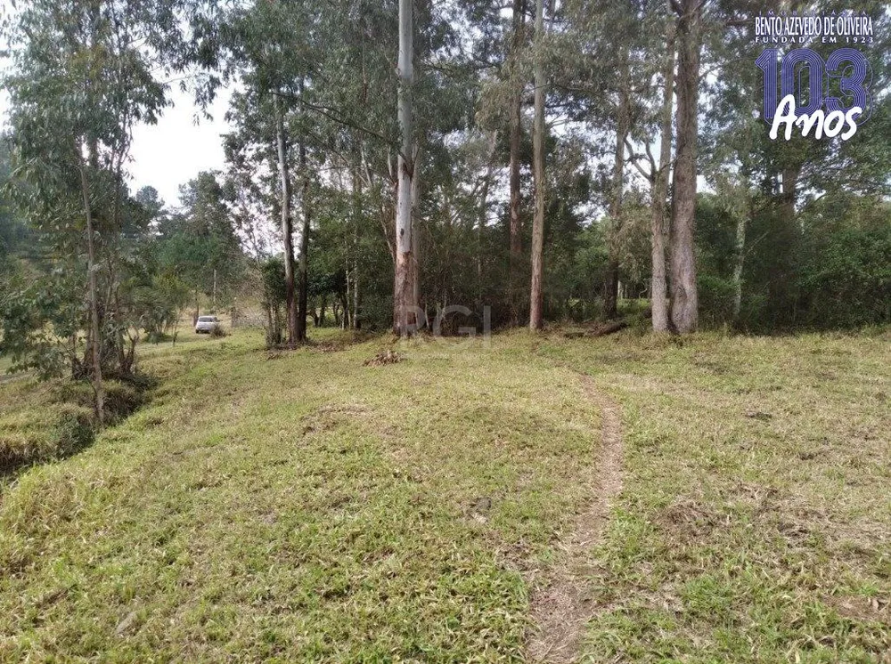 Terreno, 2500 m² - Foto 5