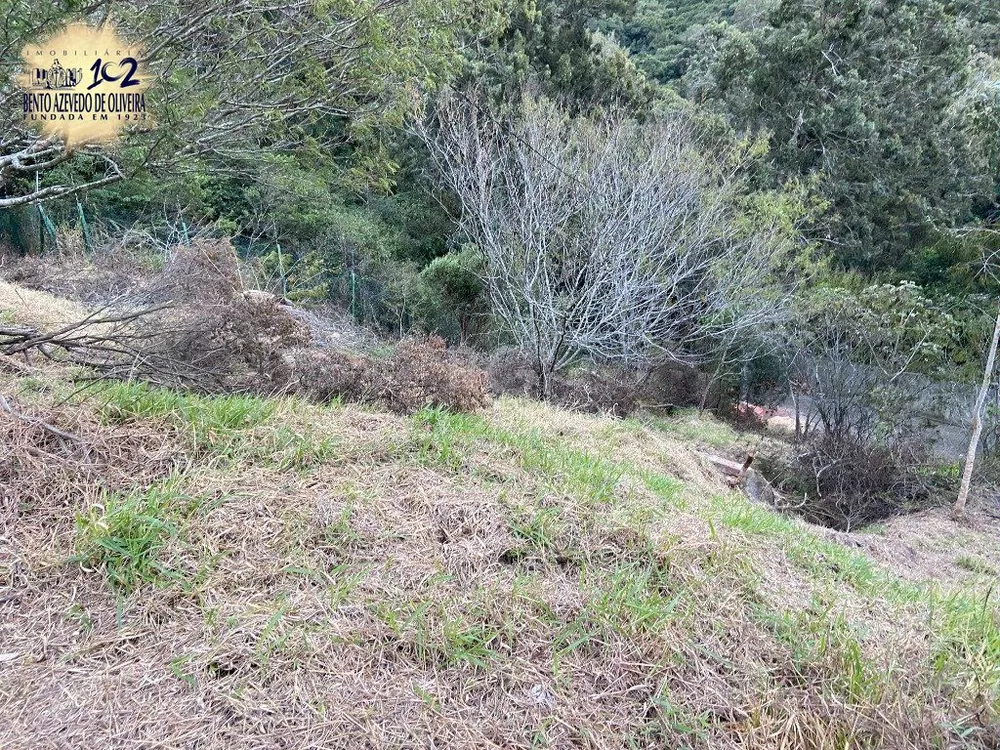 Terreno, 2313 m² - Foto 1