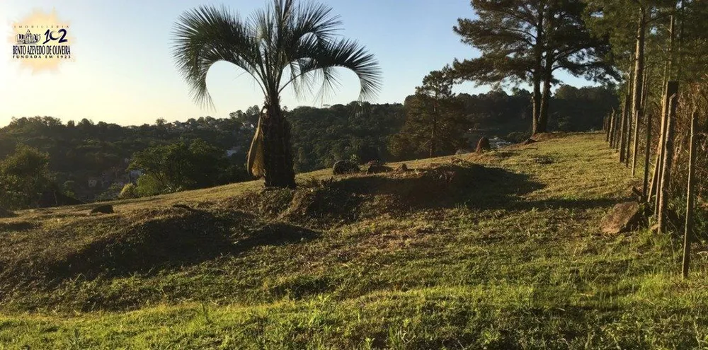 Terreno, 9562 m² - Foto 2