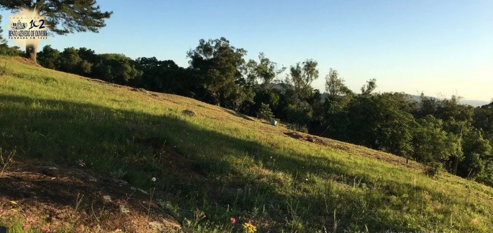 Terreno, 9562 m² - Foto 1