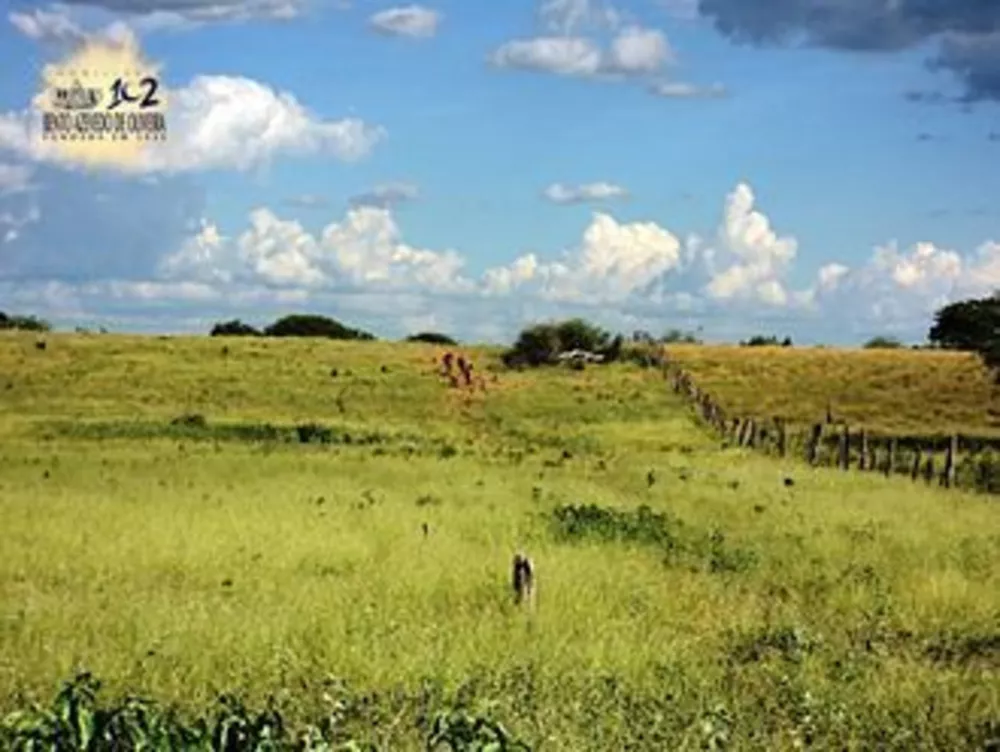 Chácara, 2 quartos, 4 hectares - Foto 2