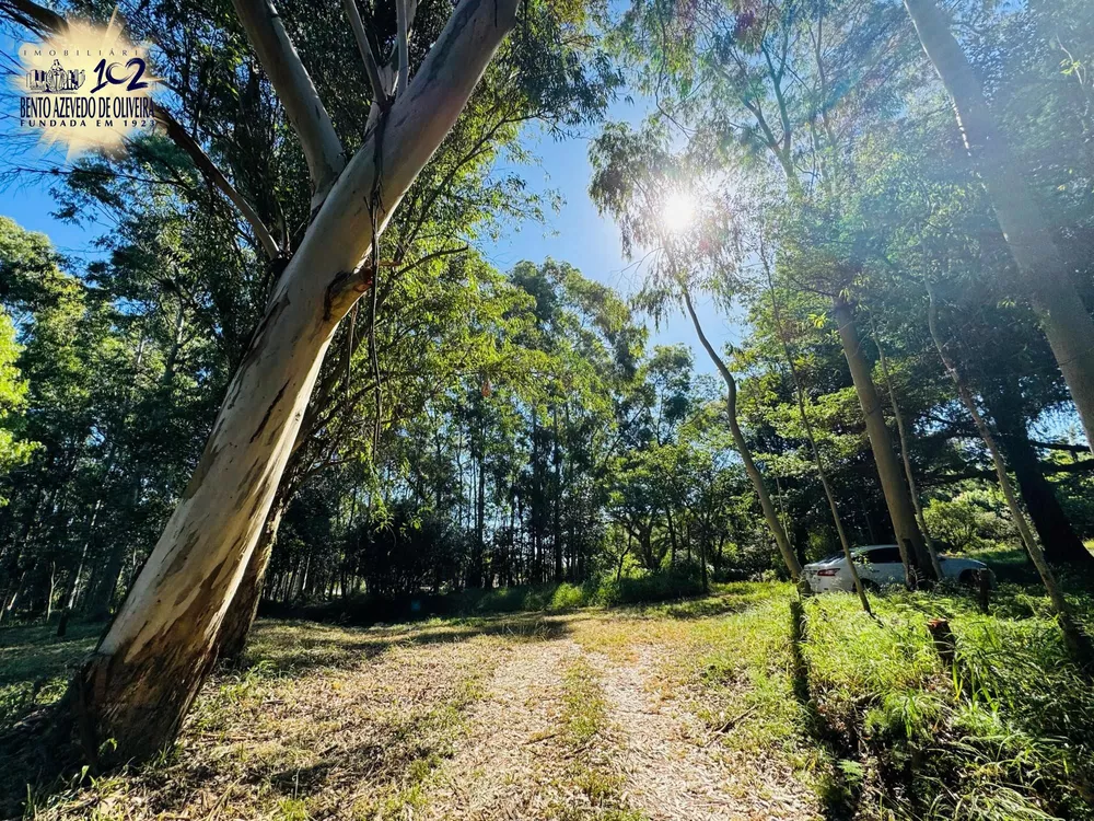 Sítio, 225 m² - Foto 3