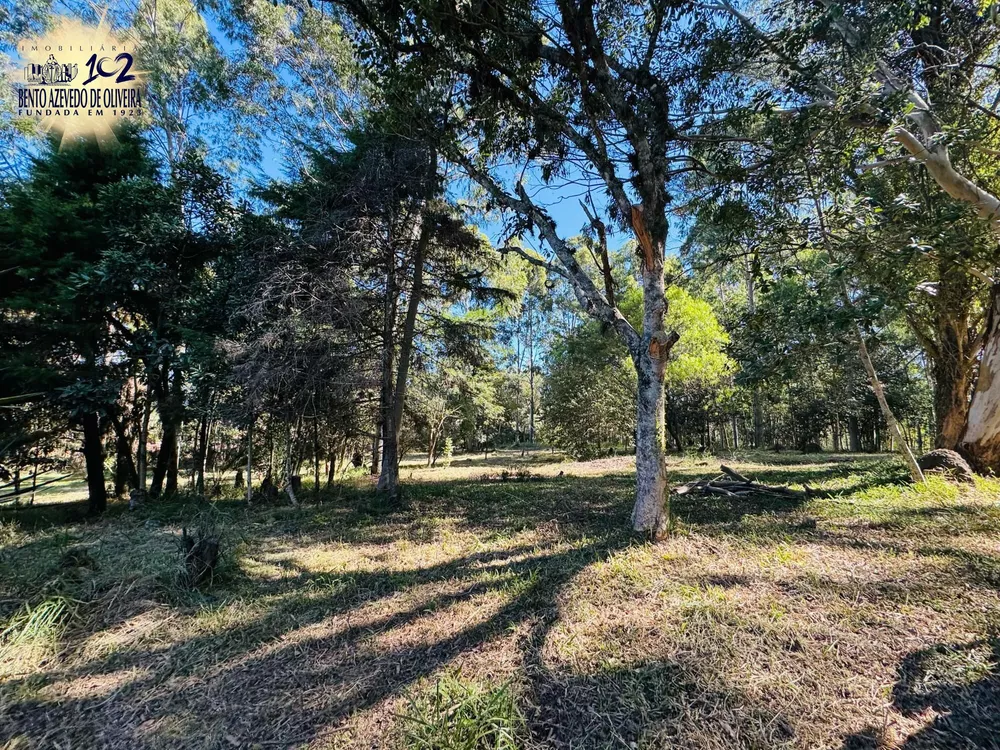 Sítio, 225 m² - Foto 4