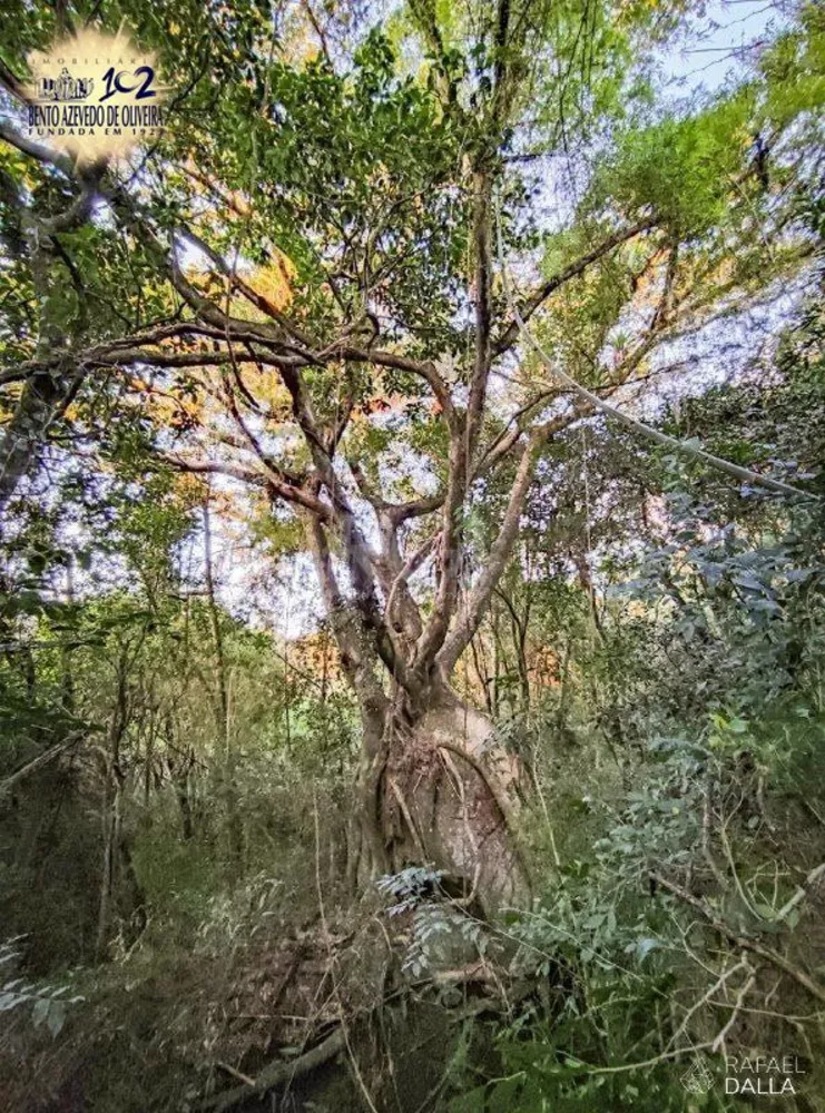 Terreno, 551 m² - Foto 7