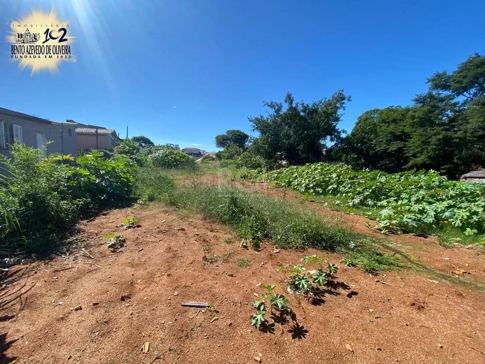 Terreno, 1205 m² - Foto 7