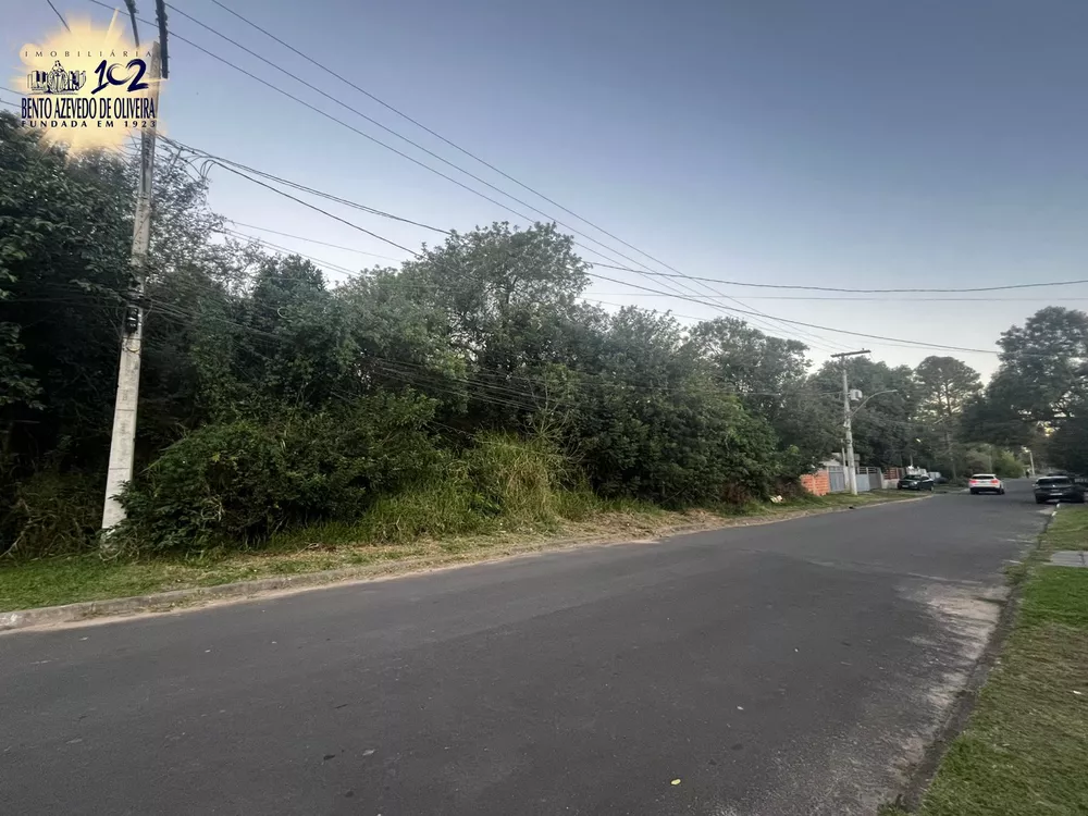 Terreno, 10000 m² - Foto 6