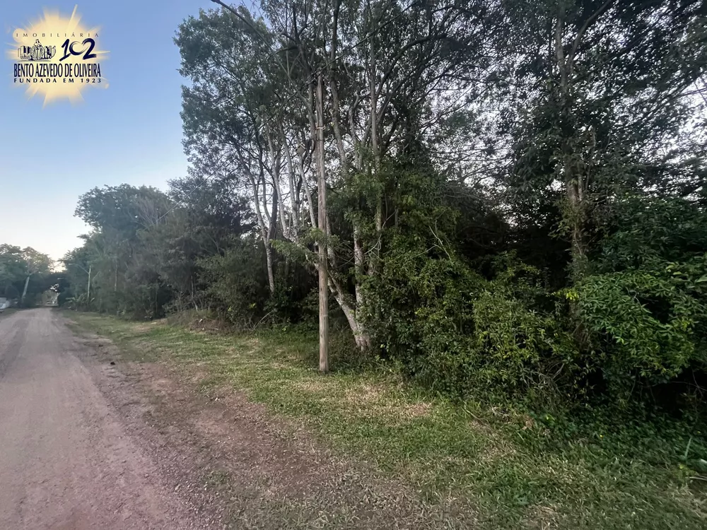 Terreno, 10000 m² - Foto 7