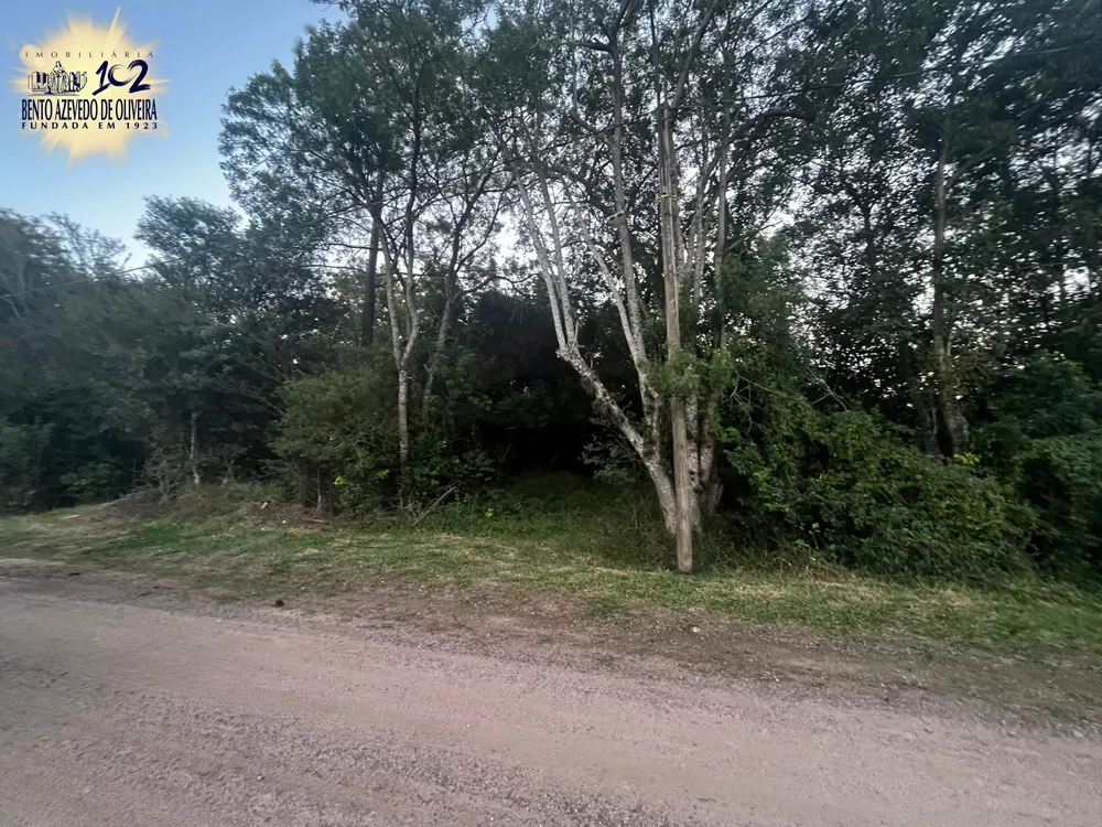 Terreno, 10000 m² - Foto 1
