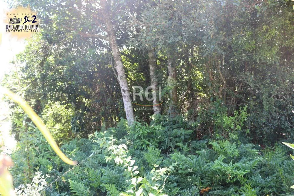 Terreno, 524 m² - Foto 2