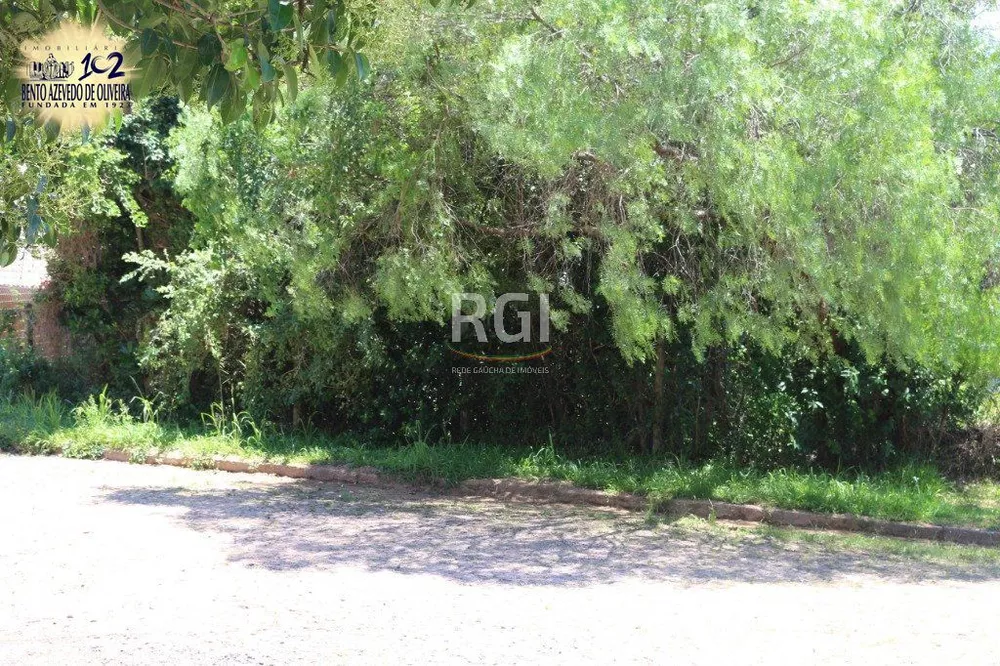 Terreno, 524 m² - Foto 6