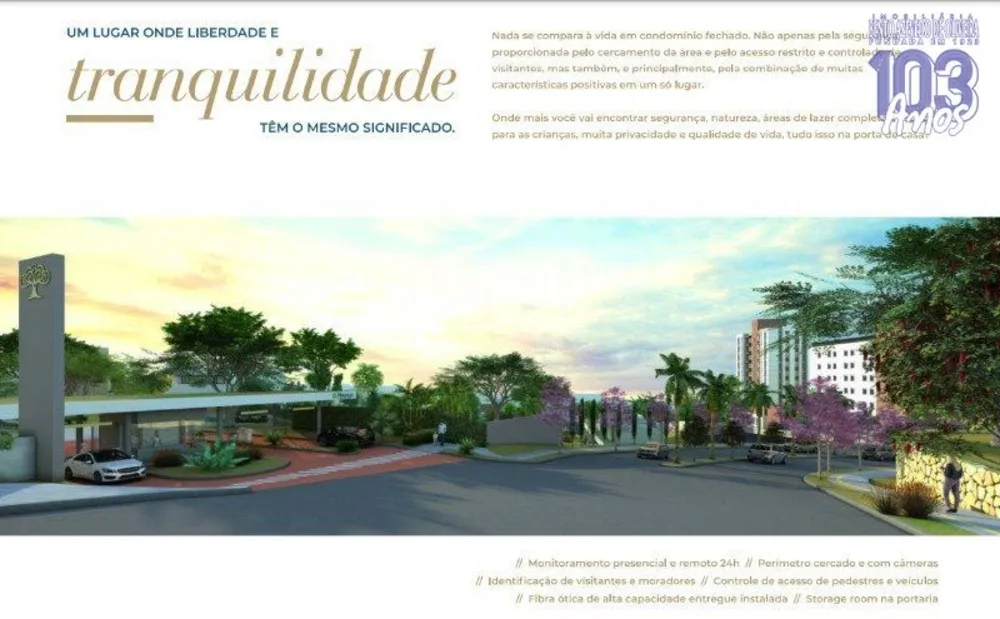 Terreno, 300 m² - Foto 7