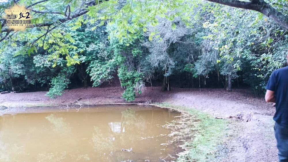 Chácara, 3 quartos, 6141 m² - Foto 3